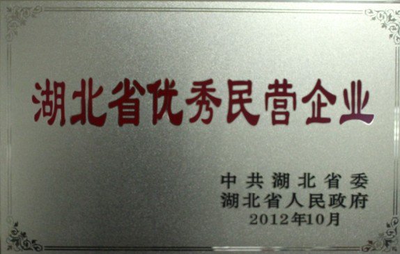 2012-湖北省優(yōu)秀民營企業(yè)