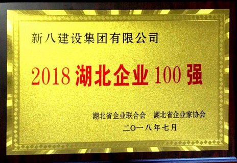 2018年湖北企業100強獎牌.jpg